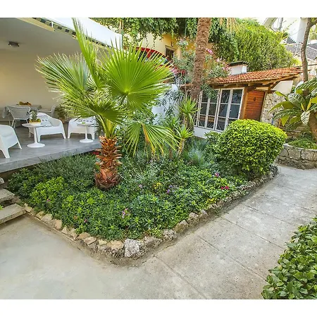 Garden *