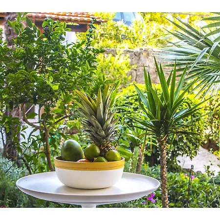 Garden Apartmán *
