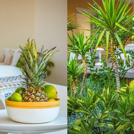 Apartmán Garden Podstrana