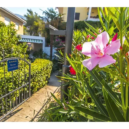 Garden Apartmán *